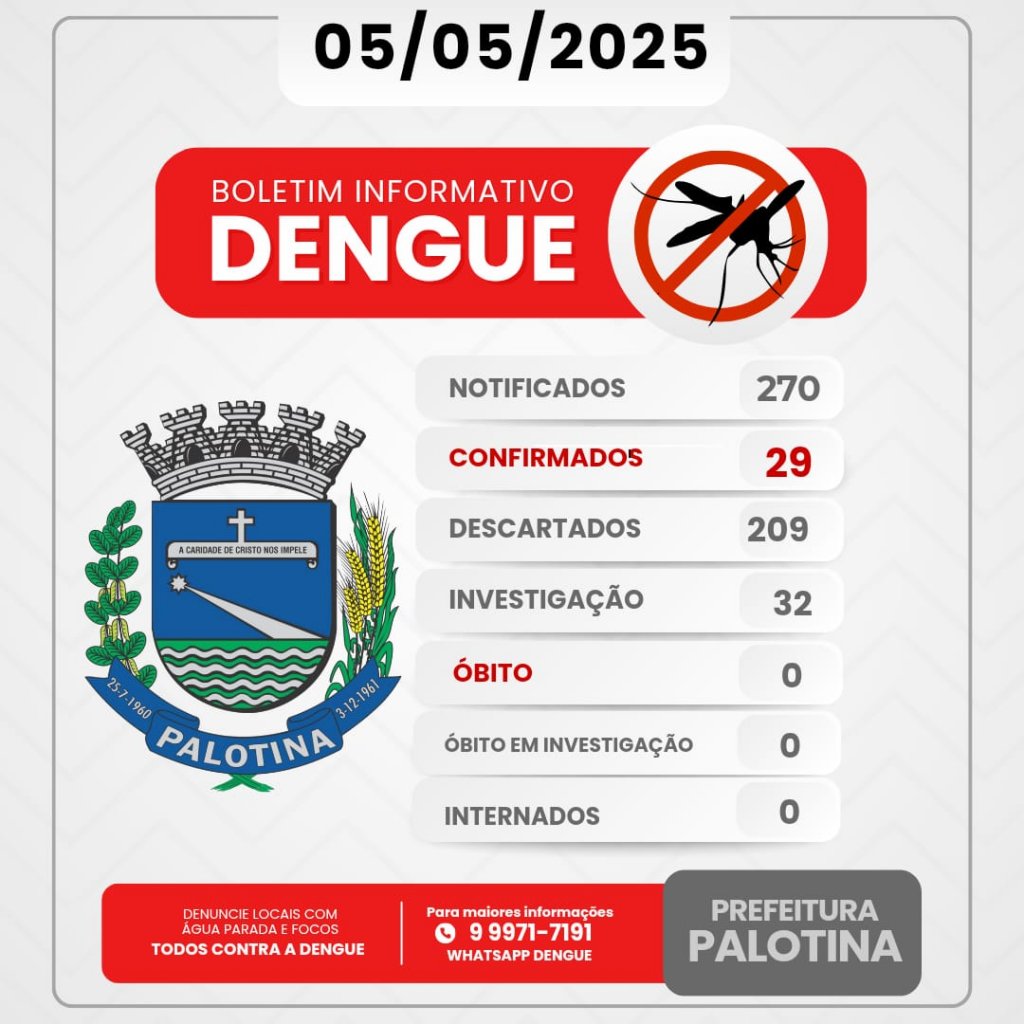 Boletim Informativo da Dengue
Boletim Informativo da Dengue
