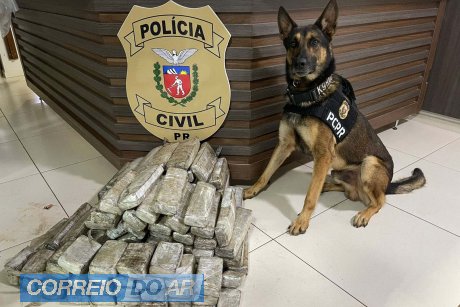 Foto: PCPR Foto: PCPR