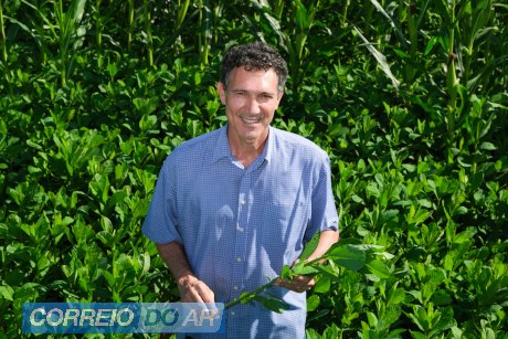 Agricultura de precisão e plantas de cobertura melhoram potencial do solo e amenizam efeitos negativos do clima
