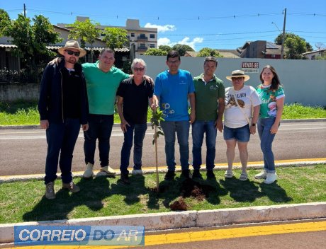 Área do Lago Municipal ganhou mais mudas de árvores
